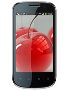 Best available price of Celkon A19 in Germany