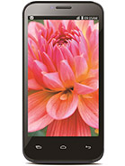 Best available price of Lava Iris 505 in Germany