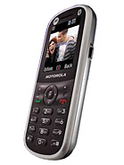 Best available price of Motorola WX288 in Germany