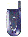 Best available price of Motorola V66i in Germany